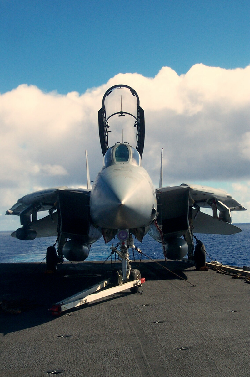Illustration for article titled Confessions Of A US Navy Blue Angel